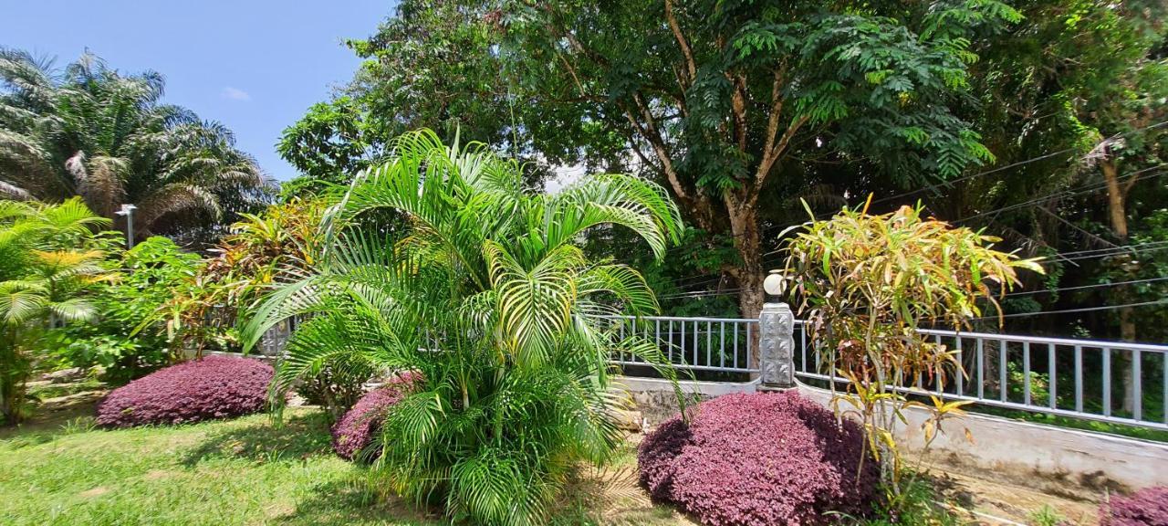 Le Chant De Merle Self -Catering Studios And Apartments Mahe Island Exterior foto