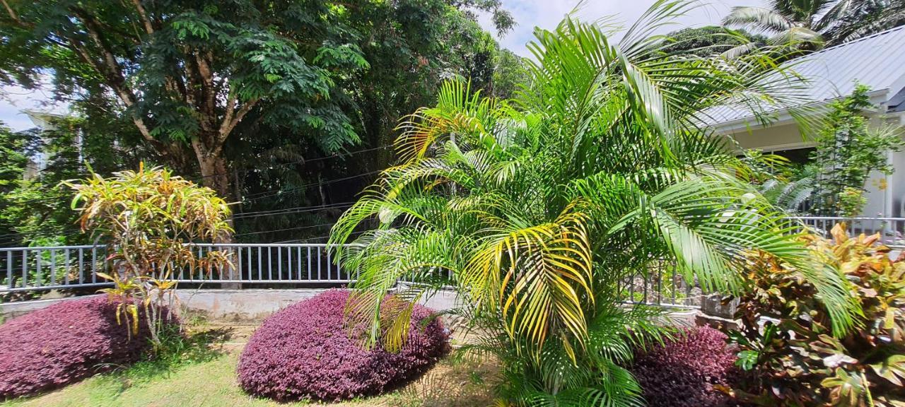 Le Chant De Merle Self -Catering Studios And Apartments Mahe Island Exterior foto