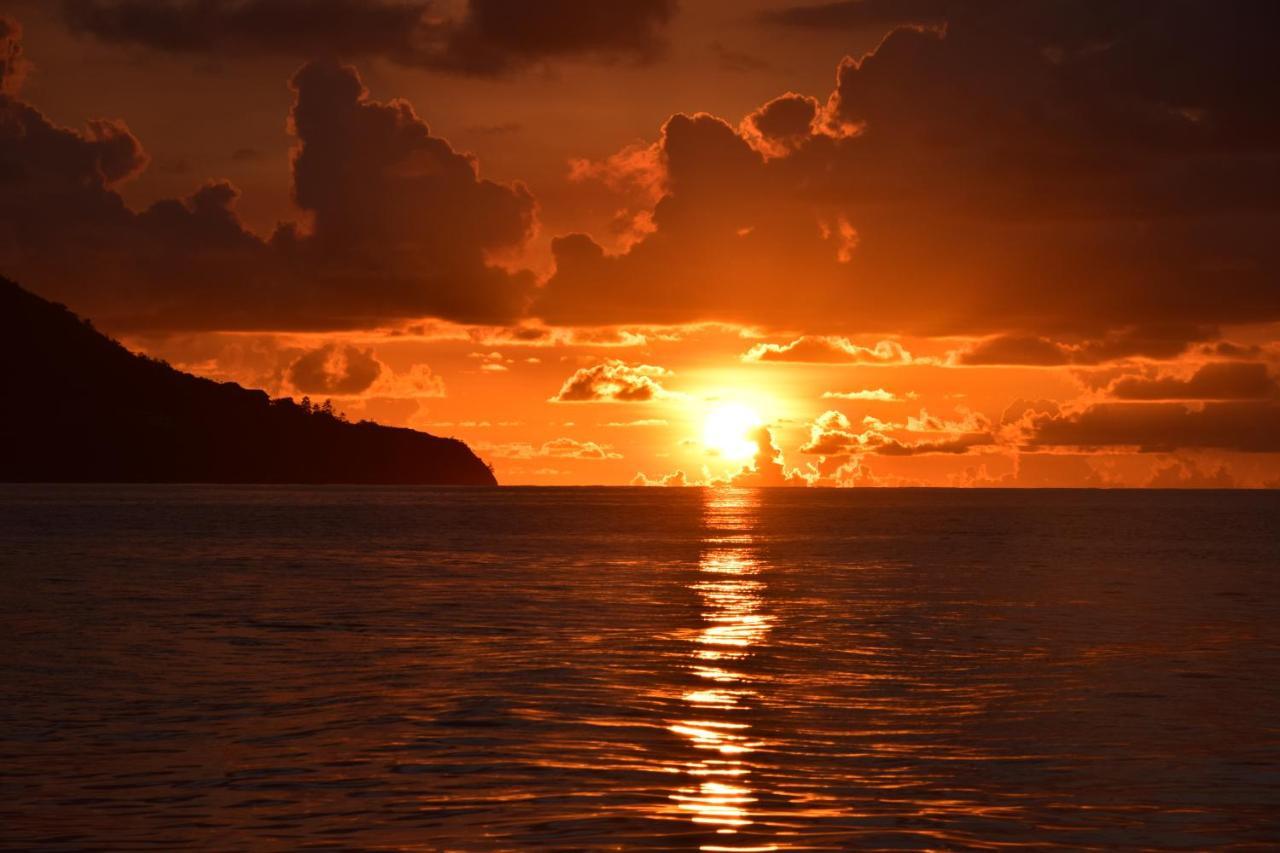 Le Chant De Merle Self -Catering Studios And Apartments Mahe Island Exterior foto